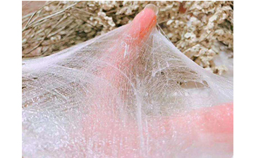 怎樣去辨別蠶絲面膜的真假？